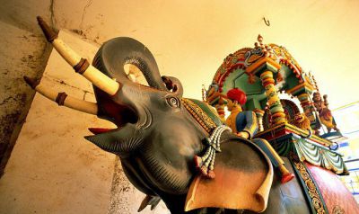 india_2437_800x600